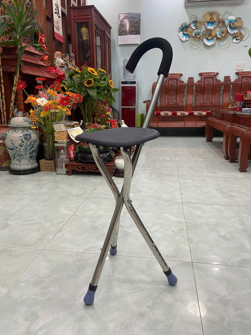 Gậy chống